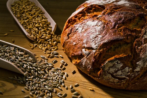Bochník čerstvý chleba — Stock fotografie