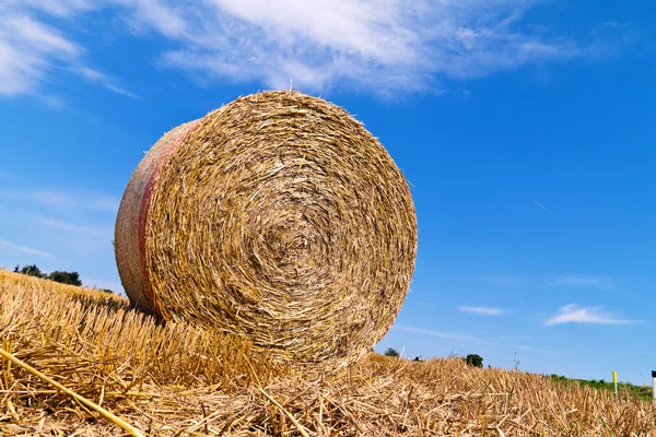 Landwirtschaft. Feld mit Strohballen — Stockfoto