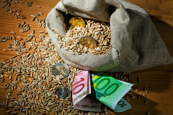 agriculture financing, wheat grains in a bag with currency notes and coind