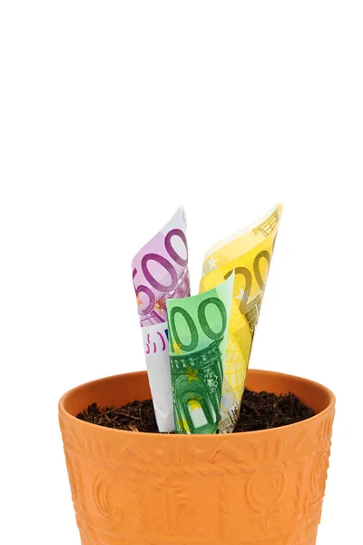 Euro banknotes grow from flower pot — Stock Photo, Image