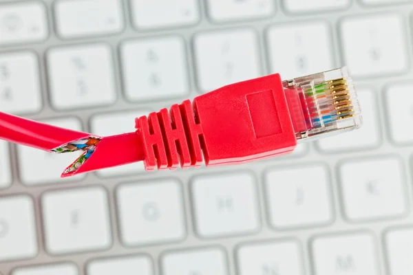 A számítógép hálózati kábel — Stock Fotó