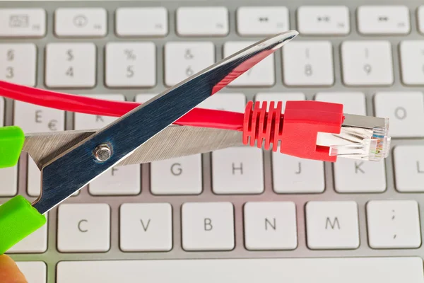Network cable from a computer — Stock Photo, Image