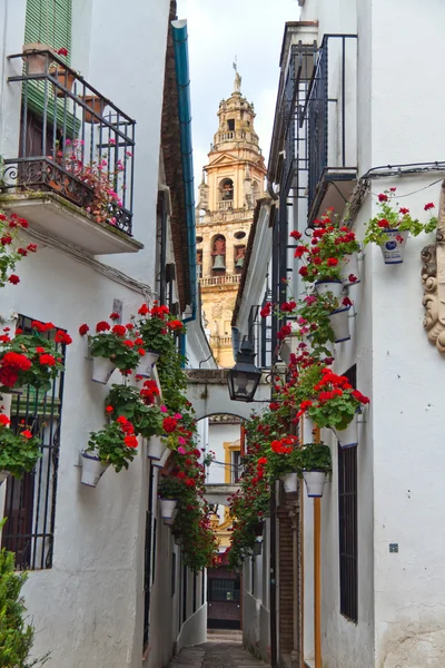 Hiszpania, Kordoba, calleja de las flores — Zdjęcie stockowe