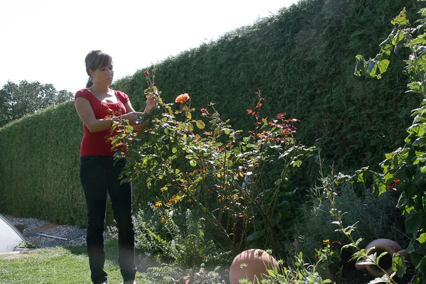 Kvinna snittblommor i trädgården med trädgård sax — Stockfoto