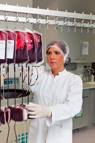 Indagine sui donatori di sangue in laboratorio — Foto Stock