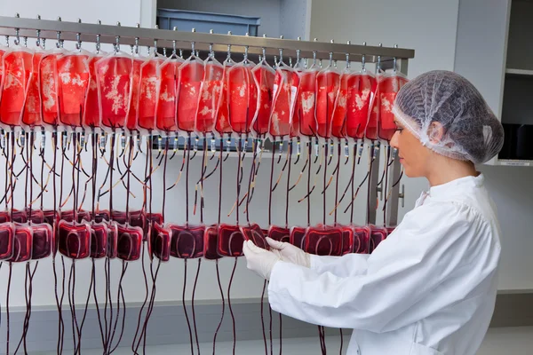 Untersuchung von Blutspendern im Blutlabor — Stockfoto