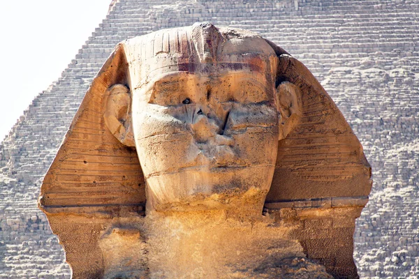 エジプト、ギザ スフィンクス — ストック写真