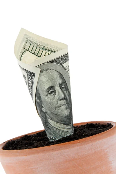 Dollarschein im Blumentopf. Zinssätze, Wachstum. — Stockfoto