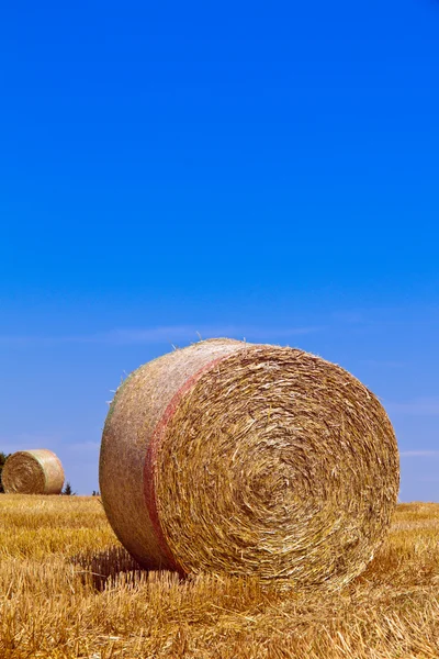 A mezőgazdaság. a mező a betakarítás után szalmabálákat. — Stock Fotó