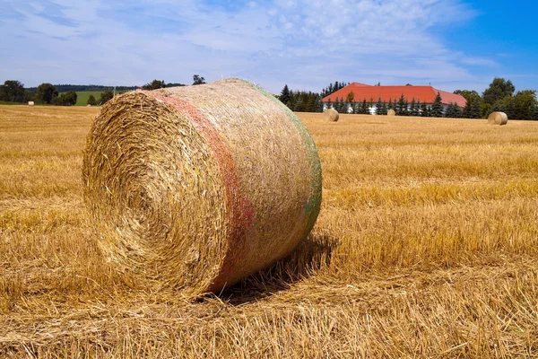 Landwirtschaft. Feld mit Strohballen nach der Ernte. — Stockfoto
