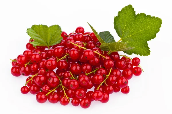 Ribes rosso - ribes rosso — Foto Stock