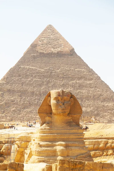 吉萨，埃及狮身人面像 — 图库照片