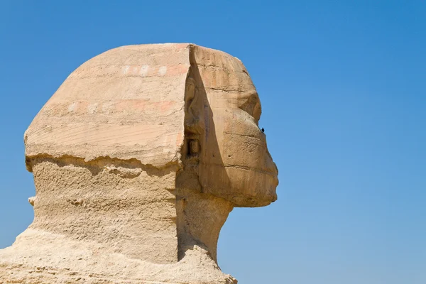 Égypte, géza, sphinx — Photo