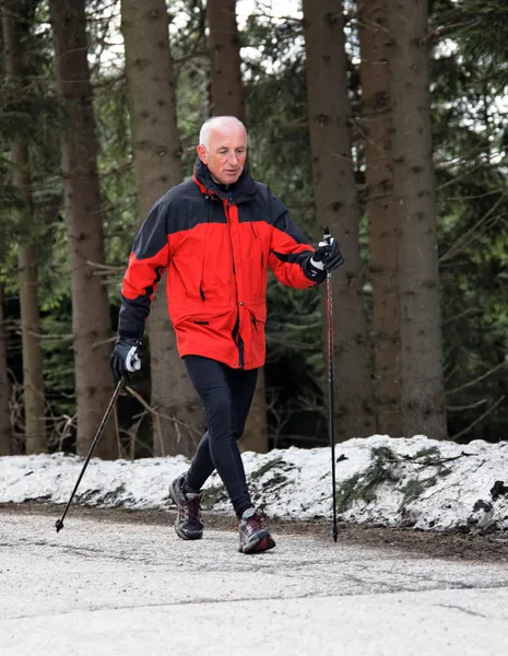 Senior nordic walking in winter — Stock Photo, Image