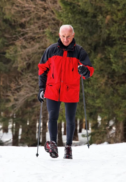 Senioren-Nordic-Walking im Winter — Stockfoto