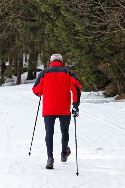 Senior nordic walking v zimě — Stock fotografie