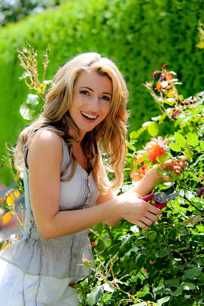 Kvinna med trädgård sax och rose — Stockfoto