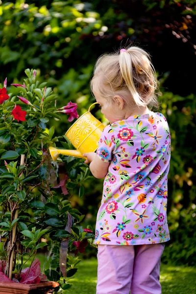 花に水をまく水まき缶を持つ子供 — ストック写真