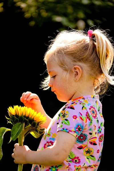 Child with a sunflower in the garden in summer — Stock Photo, Image
