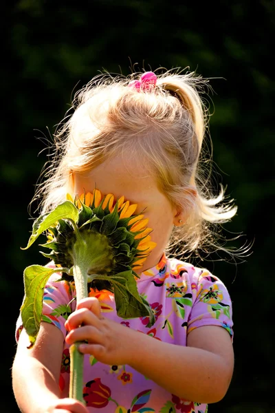 Criança com um girassol no jardim no verão — Fotografia de Stock