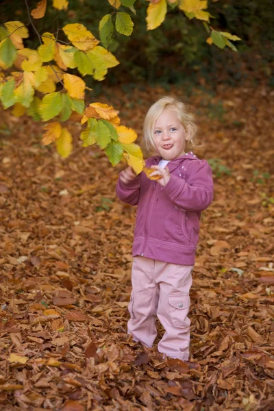 Dziecko z liści — Zdjęcie stockowe