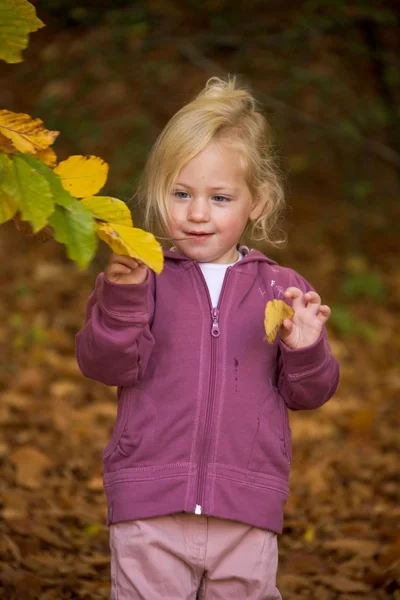 Criança com folhas — Fotografia de Stock