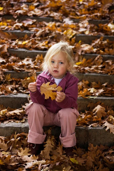Niño con hojas —  Fotos de Stock