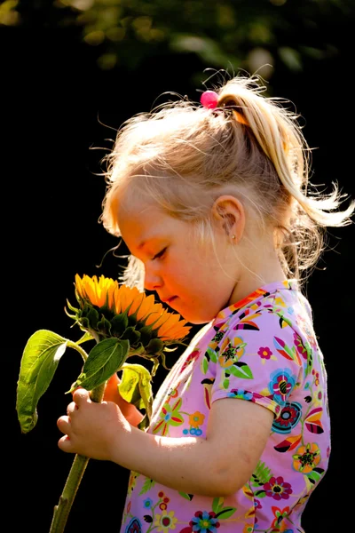 Criança com um girassol no jardim no verão — Fotografia de Stock