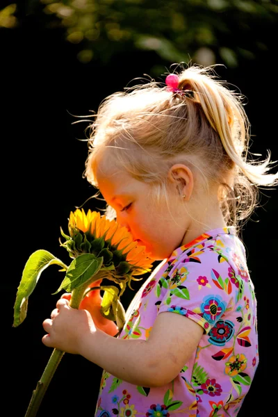 Dziecko z słonecznika w ogrodzie w letni — Zdjęcie stockowe