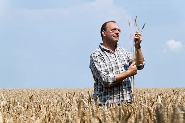 Agricoltore - agricoltori del settore cerealicolo . — Foto Stock