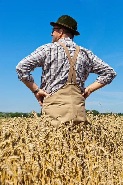 Agricultor em um campo de trigo — Fotografia de Stock