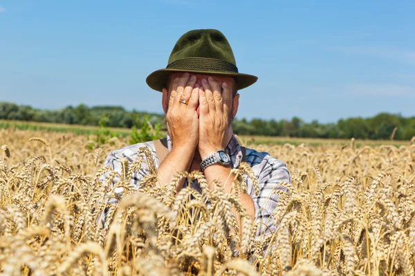 Agricoltore premuroso in un campo di grano — Foto Stock