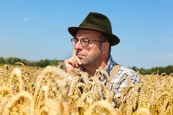 Задумчивый фермер на кукурузном поле — стоковое фото