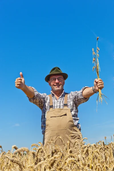 Agricoltore in un campo di grano — Foto Stock