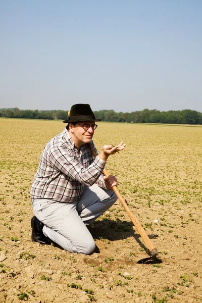 Campo fechado com pequenas plantas — Fotografia de Stock