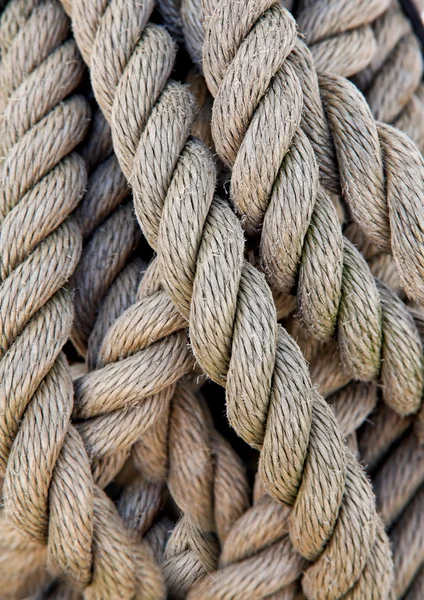 Cuerdas gruesas de la cuerda de un barco — Foto de Stock