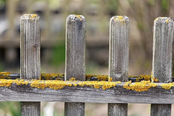 Vista detallada de una cerca de jardín de madera —  Fotos de Stock