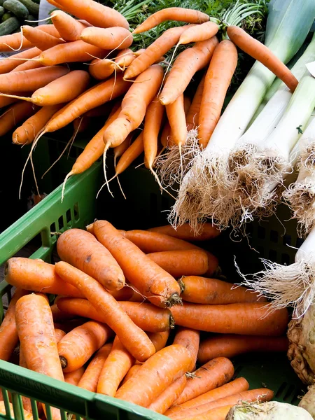 El manojo de la zanahoria fresca - la zanahoria — Foto de Stock