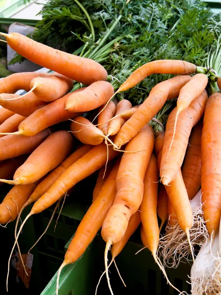 Un bouquet de carottes fraîches - carottes — Photo