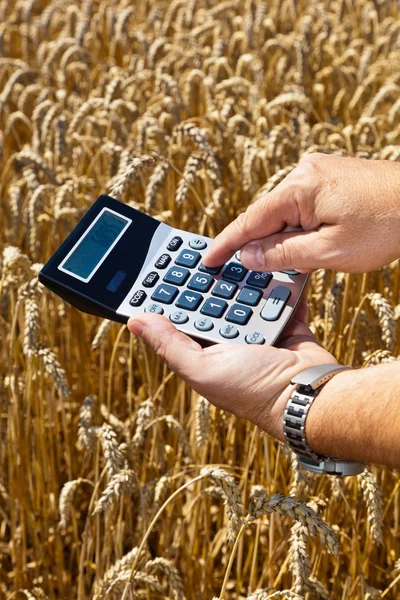 Фермер з калькулятором на зерновій коробці — стокове фото