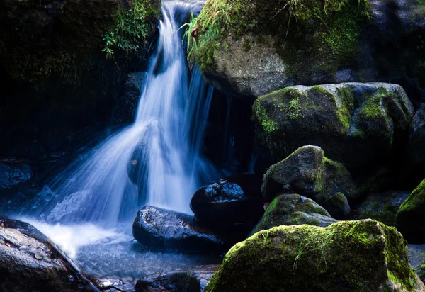 水と石 (岩を実行してクリーク) — ストック写真