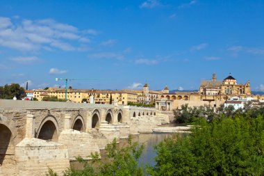 Spain, andalusia, cordoba, mezquita clipart