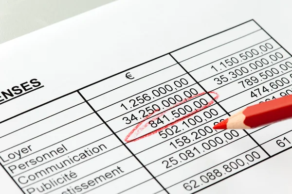 Pay a statistic with a red pen. french. — Stock Photo, Image