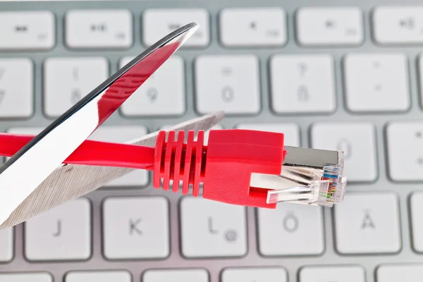 Network cable from a computer — Stock Photo, Image