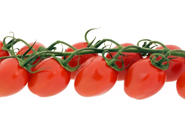 トマト、カクテル トマト、チェリー トマト — ストック写真