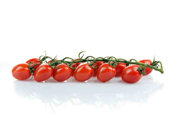 西红柿、 鸡尾酒西红柿、 樱桃西红柿 — 图库照片
