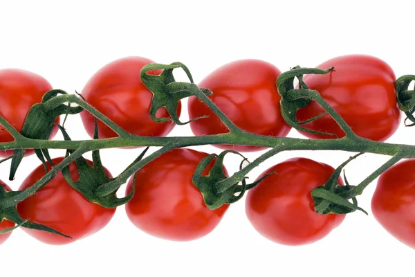 Tomates, tomate cocktail, tomate cereja — Fotografia de Stock
