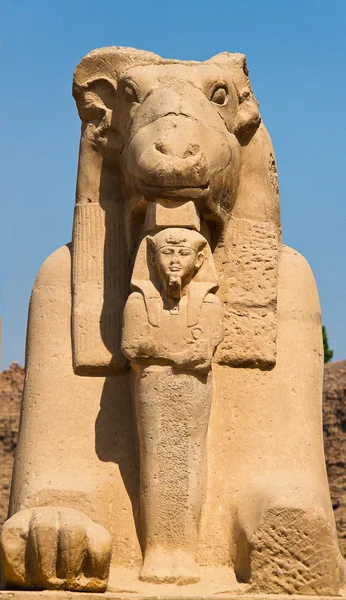 Egypte, luxor, karnak tempel — Stockfoto