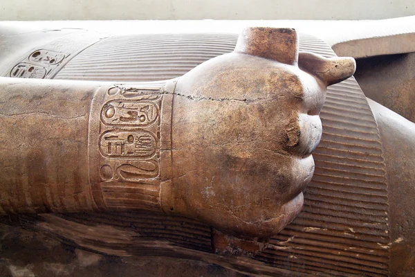 Egypt, memphis, statue of ramses ii — Stock Photo, Image