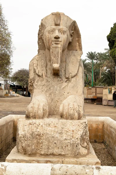 Egypten, memphis, — Stockfoto